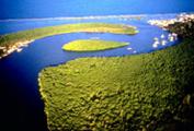 Discovery Coast Atlantic Forest Reserves